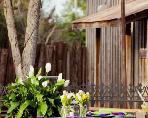 Foliage with picnic tables