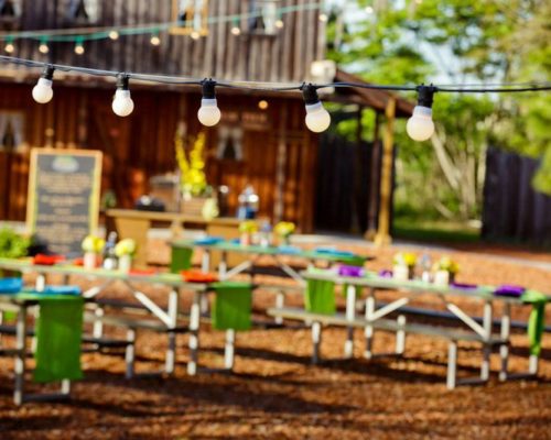 String Lighting at picnic